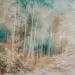 Foresta